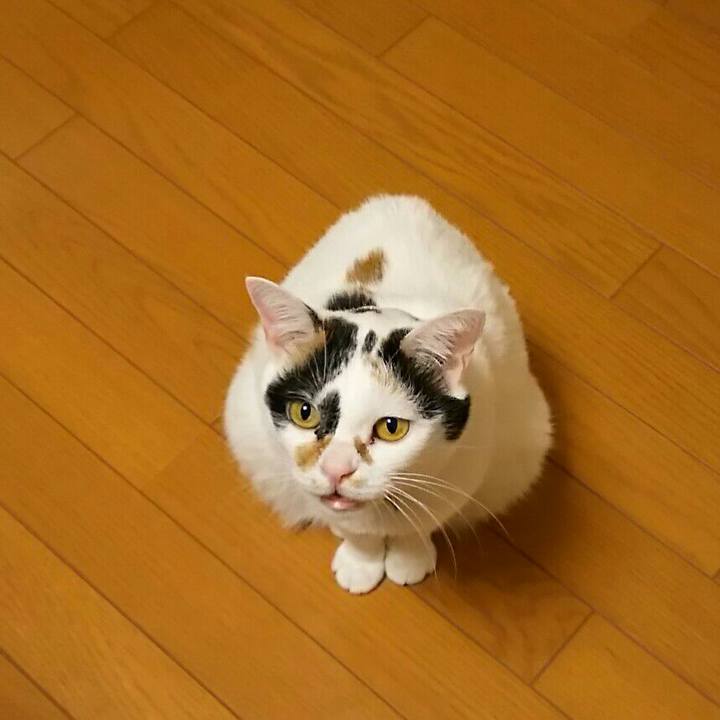 52544233 45fa 4371 9fbc 91ba35486610