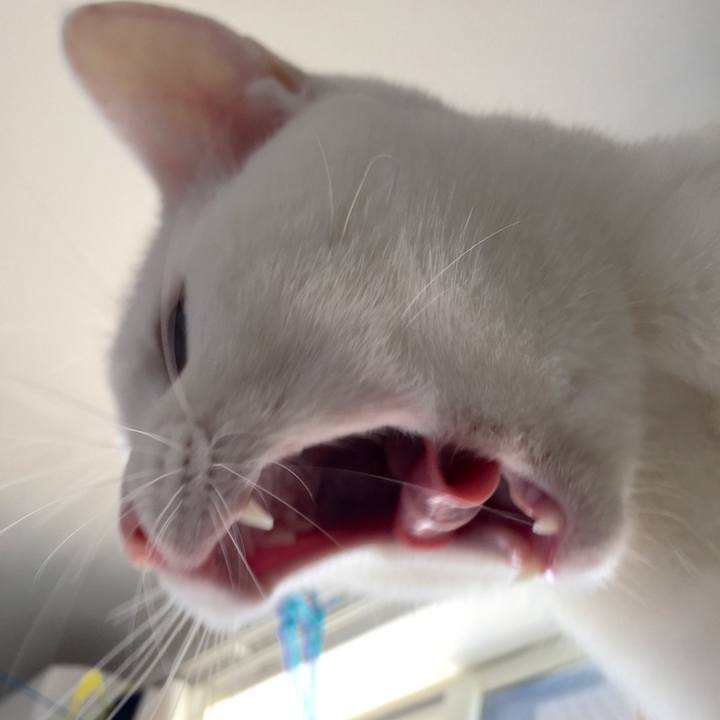 5254cda2 3d7b 4fcb a56e fec05422e280