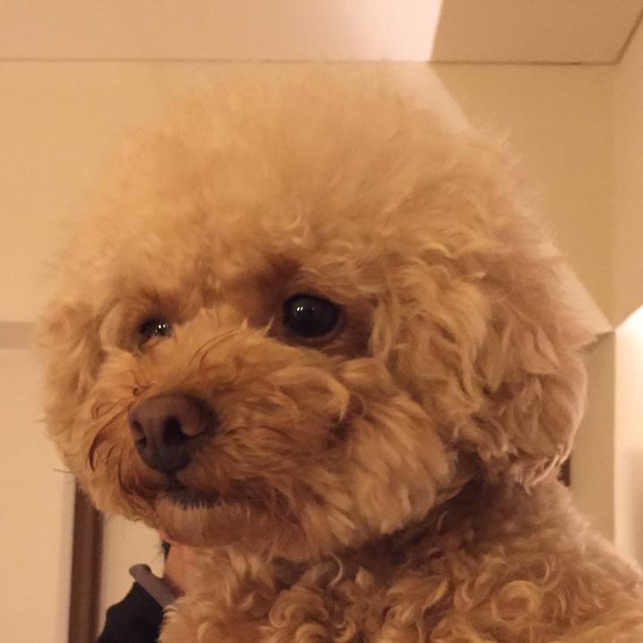 5254d72c d52f 4838 8d00 ff55a3384663