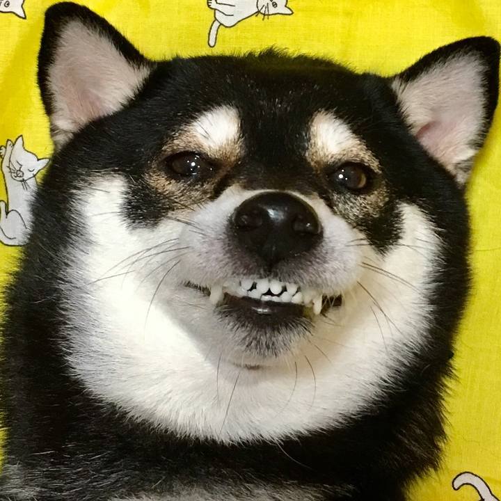 525583b2 3fbb 4ca9 8d3e d48cc200d4e9