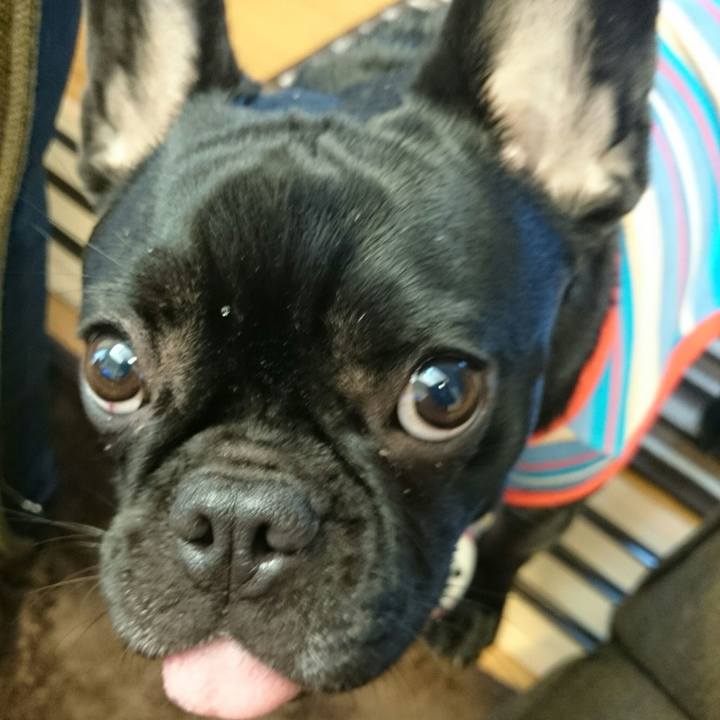 5256c259 ec3d 4ff8 9c4d e1b60b1144fe