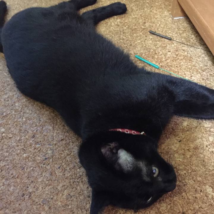 52576591 2446 4a18 b737 35bd2d02e50b