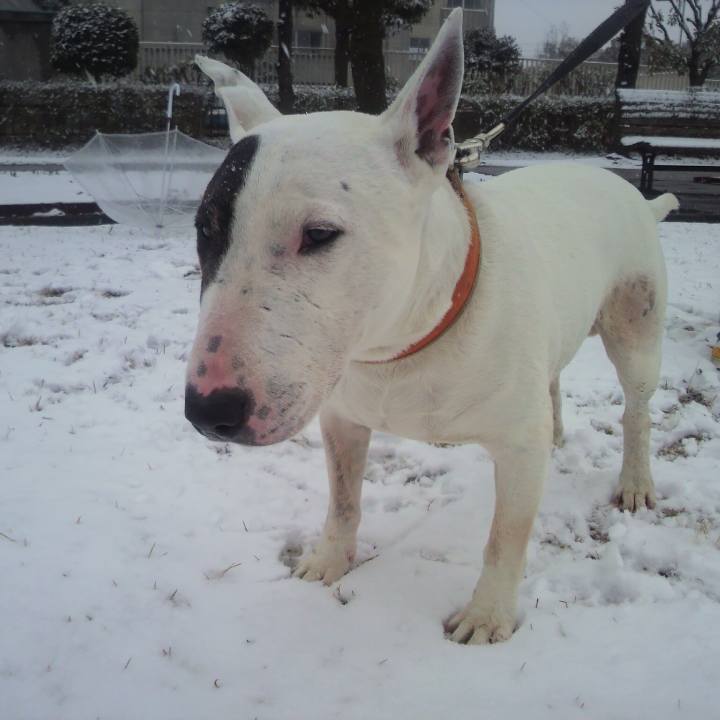 52587a51 f2a1 4a88 80dc 6ba2ce708c1d