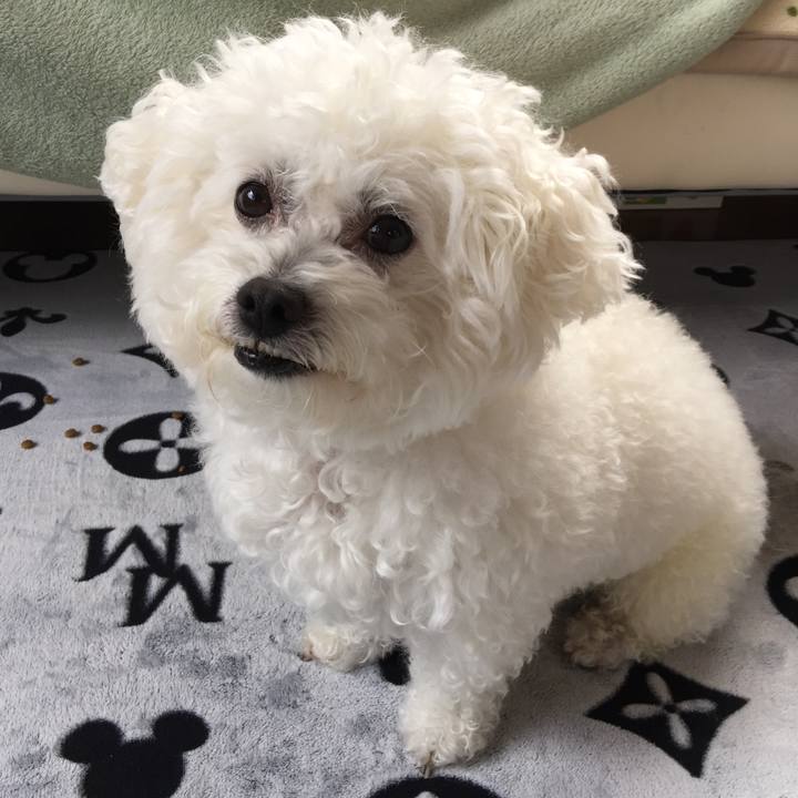 5258ebba 0eec 444b b453 6d47db2c69c4