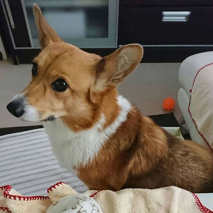 5259c1cd 5fa8 41e2 999b 41fab23a2789