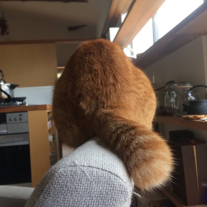 5259debe 1613 4d32 a407 5bb197d842c3