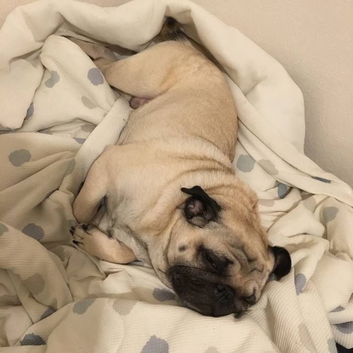 525a5115 5812 4f0c bb65 cdfd0276ac79