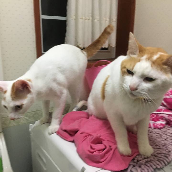 525aa3e0 6b9a 4190 b474 954169f6b7c0