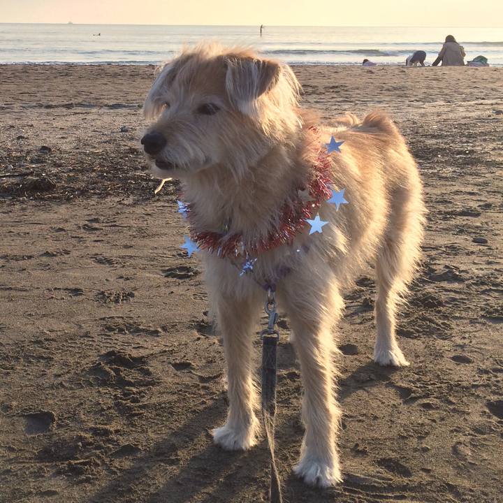 525ad516 e9bc 488c 9b2b a67ae50250c7