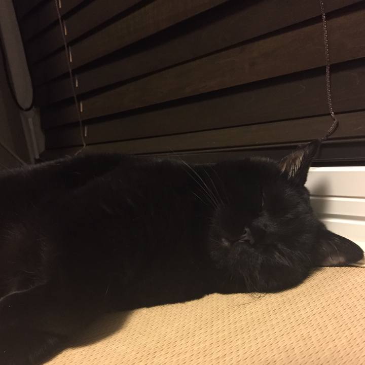 525ae074 616c 4602 a5f4 24443989301a