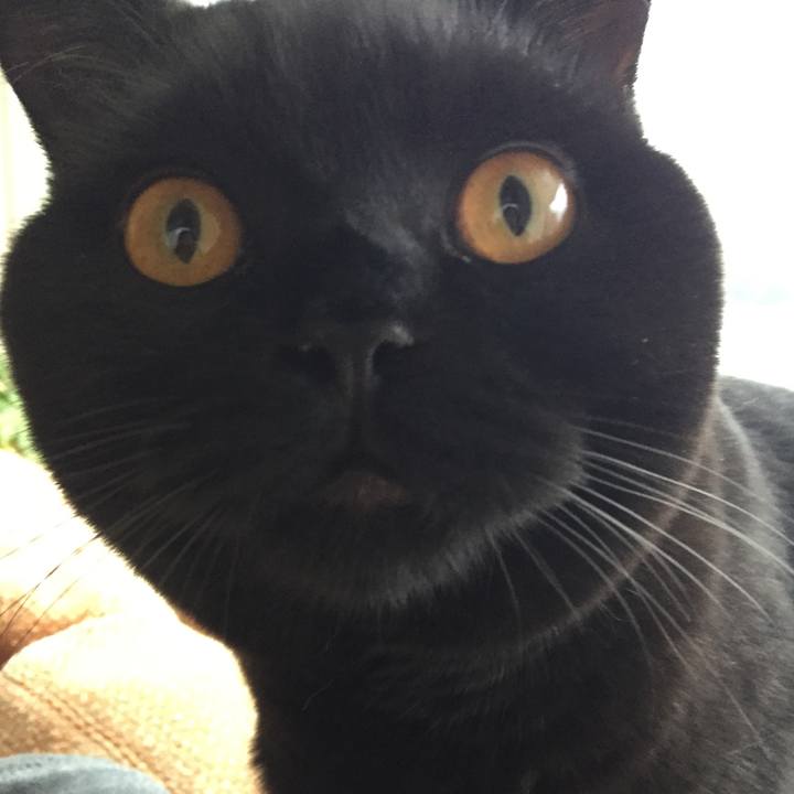 525b004f e45c 466a 88da 17ec865d88a8