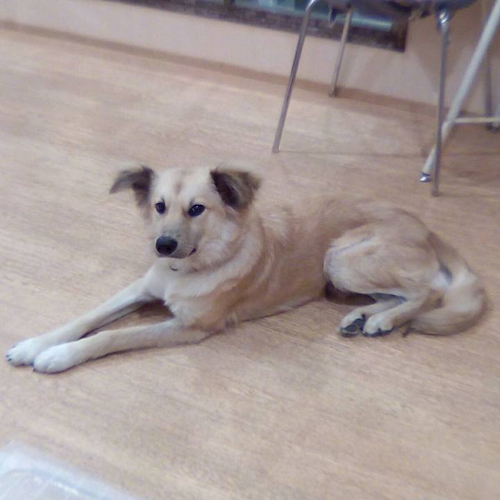 525b32be fbd2 47d3 b82c d0a5339442dd