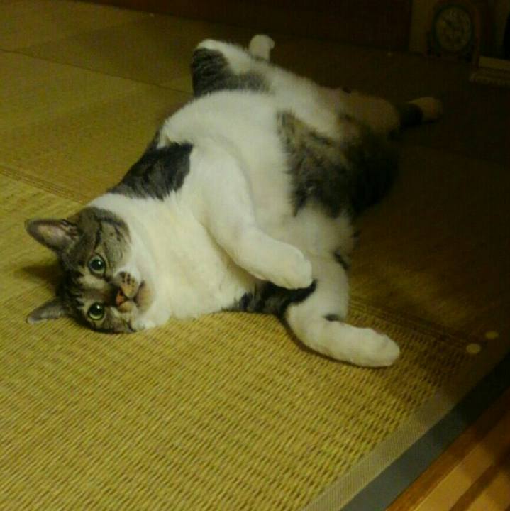 525b5787 a976 4803 8f2a e200f1685d27