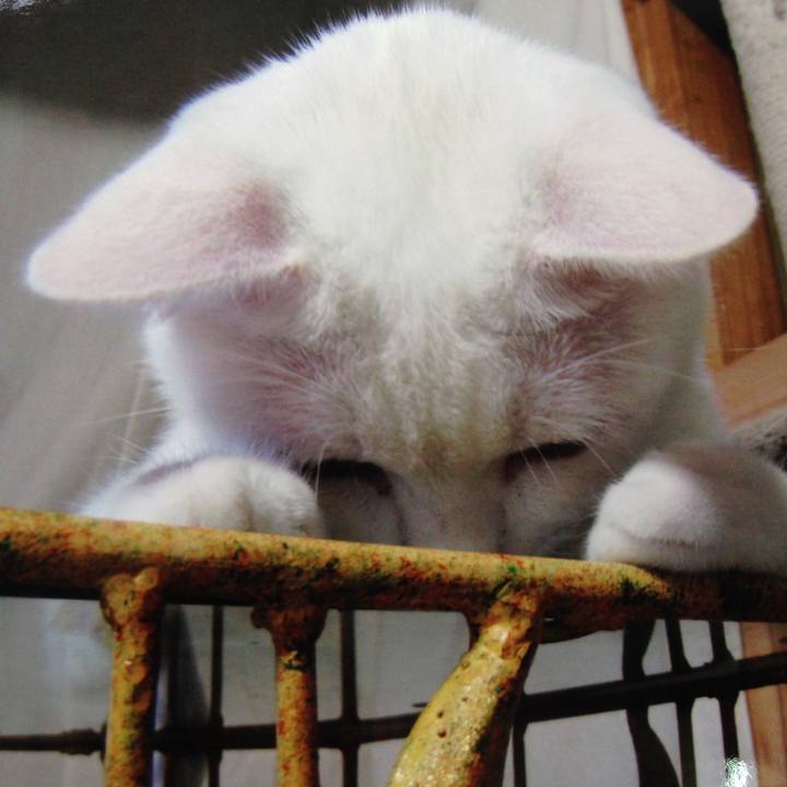 525bc4be 7135 48d5 a889 6deb0051f645