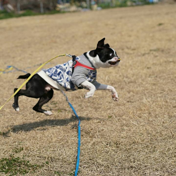 525ca281 9853 4bed 85ee 5a8d84ff5900