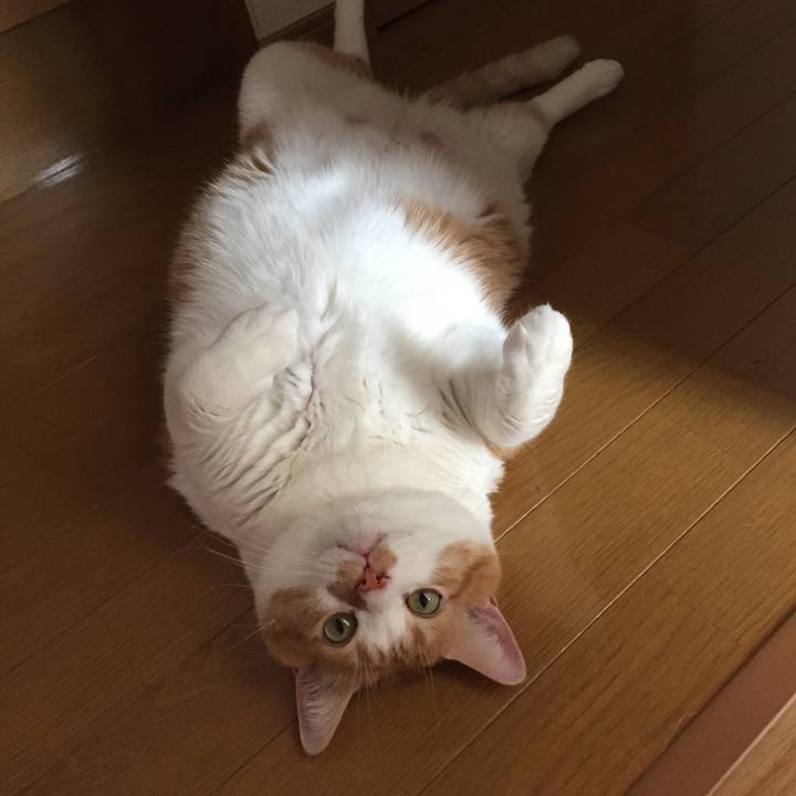 525ca298 50ed 45ad 9a70 7412d16c3eda