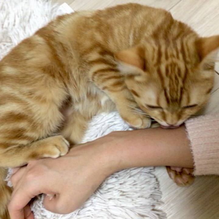 525d2f7a 1573 4e8c b05a 9497228634e0