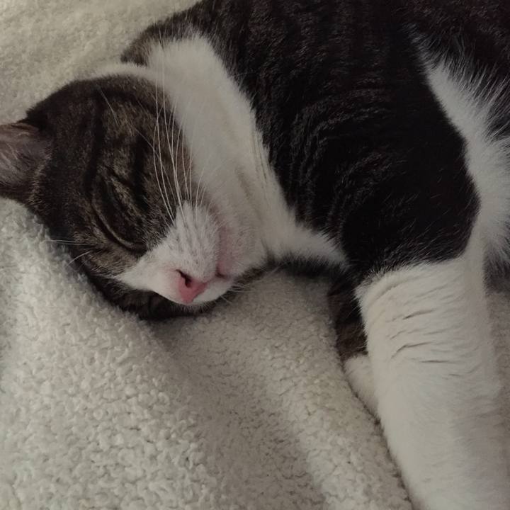 525d7f32 7eda 4acf 955f 09b2510d45b0