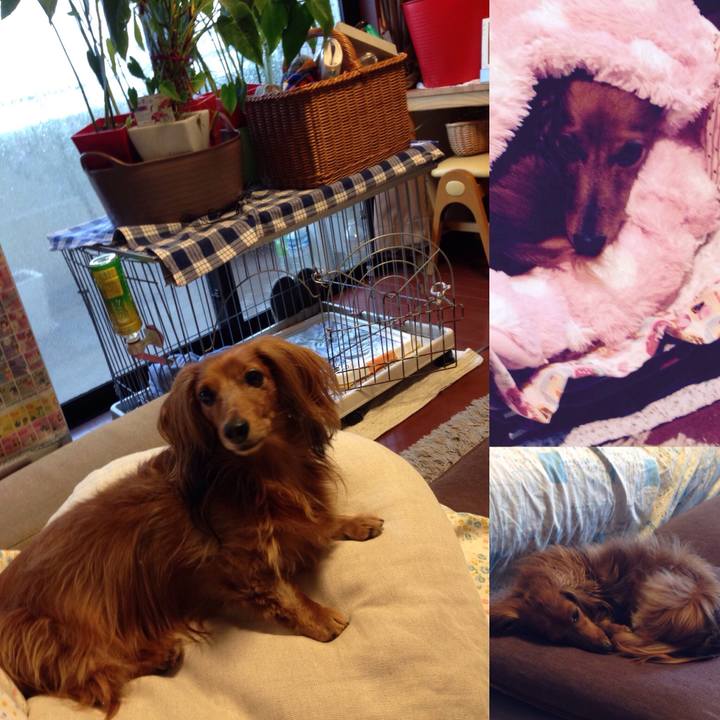 525d8e17 b81e 46f5 983e 68e6f6ea94ad