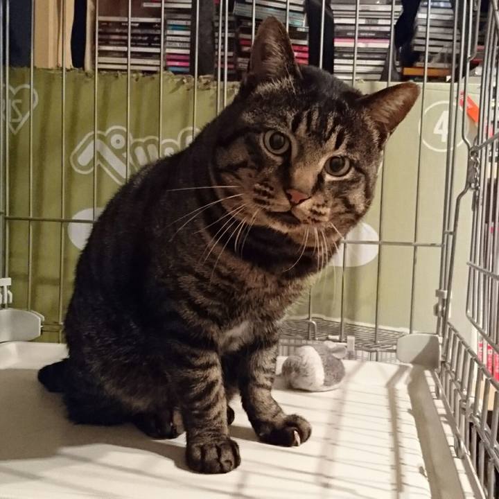 525da911 8fb7 4406 aec9 f5a961077710