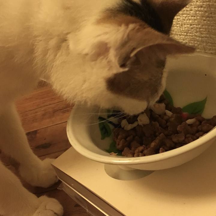 525de688 d689 42b7 9679 bee6097d69b4