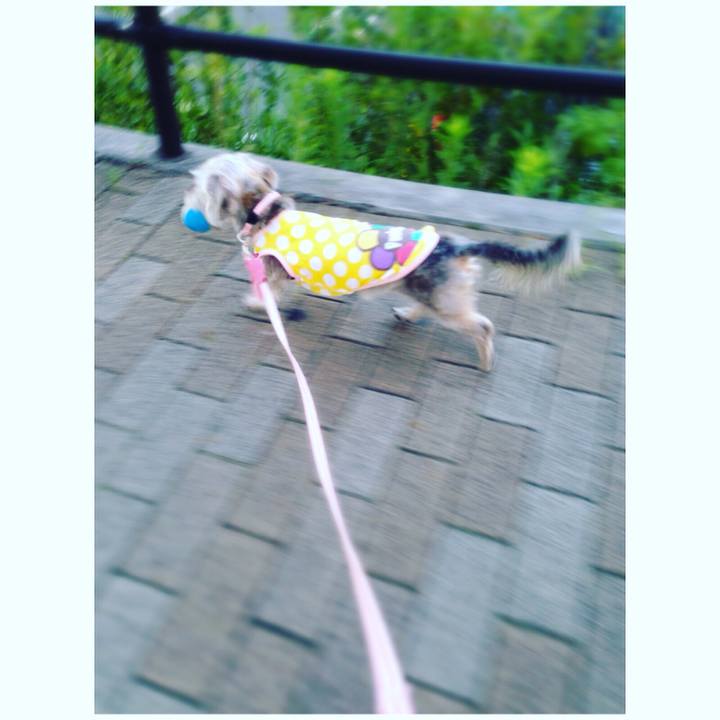 525e81ea 4cdd 44d3 b553 86fc5eddea00