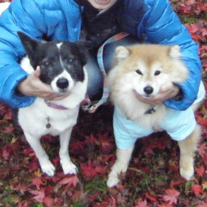 525e8ba5 85aa 4318 9b88 c34dd491303e