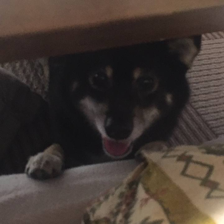 525ee31b e13a 4e2b 8c5a 02987a9ea15b