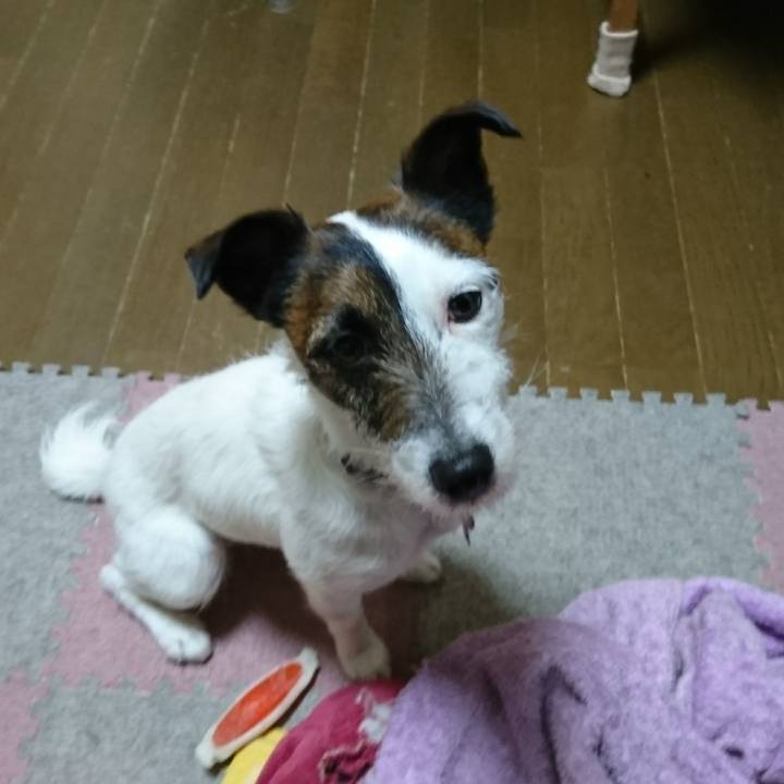 525eec83 d5f2 4969 8dd8 24adb3d01f39