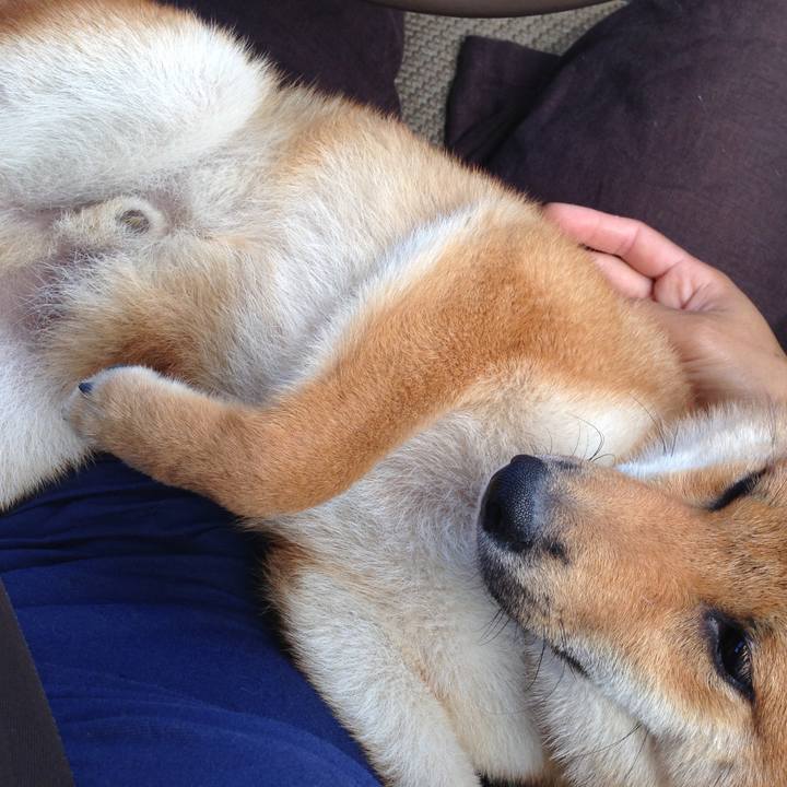 525f039d c9ed 4c8c b2f0 6e282ff41f78