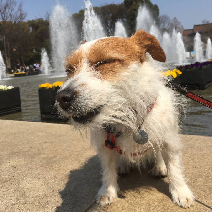 525f26d9 c002 45b9 a1fd 35fbfb51c545