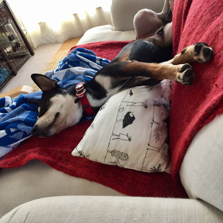 525f2a91 63da 473f 9699 be4da75e9cc5