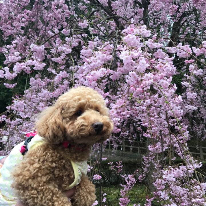 525f2c48 3119 4da6 92f6 444c652b3c38