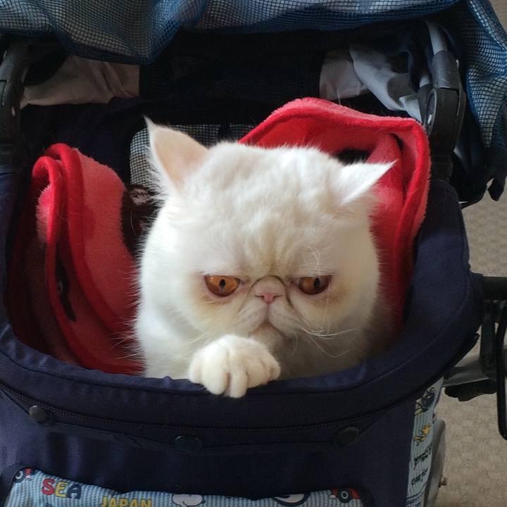 52606920 654c 42e5 9c8b 5b318aeca36f