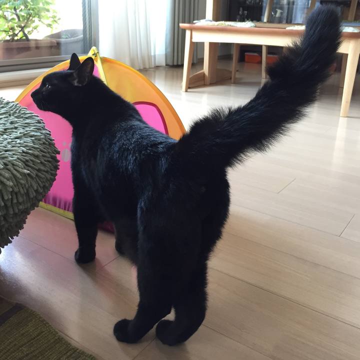 52606ae3 5c53 4892 b4e1 2ceb06fe2c2b