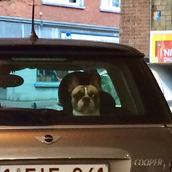 52609825 ed61 4e26 8145 7eb1f7fc3892