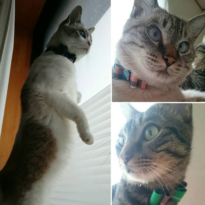 5260afbf eabf 4e64 a62e ac6629600d0b