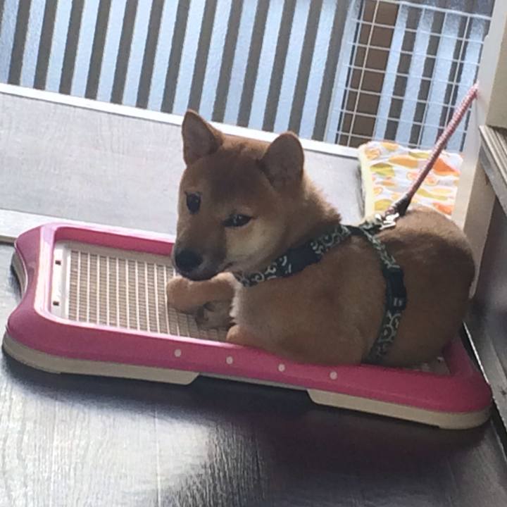 52615d5a 316c 4884 9367 dbf8708bdfad