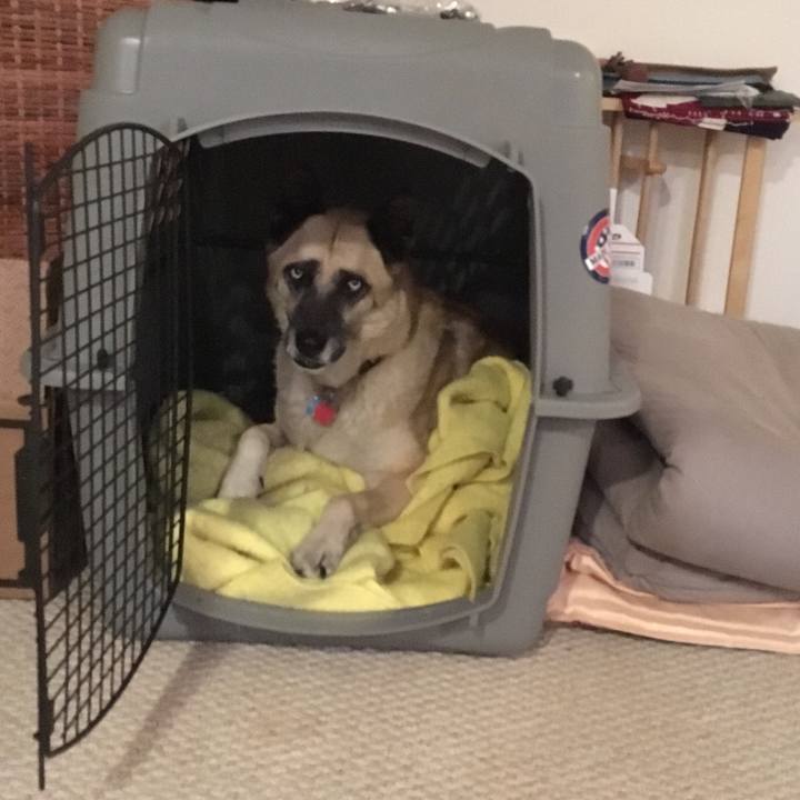 5261745a 3469 4b13 94d4 f737ea5f5b68