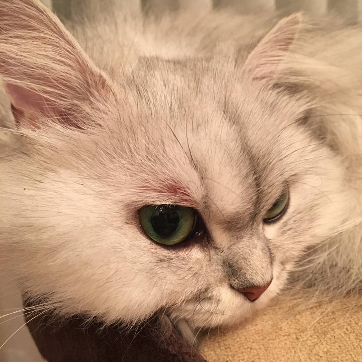 5261fb72 5eea 4171 81b1 da9df6d14c51