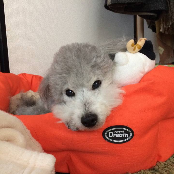 5262e8db 5e6b 440b 81f5 e5405761ea78