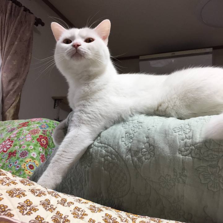 5262e962 58a0 470b 9598 4c1ceb8e602e