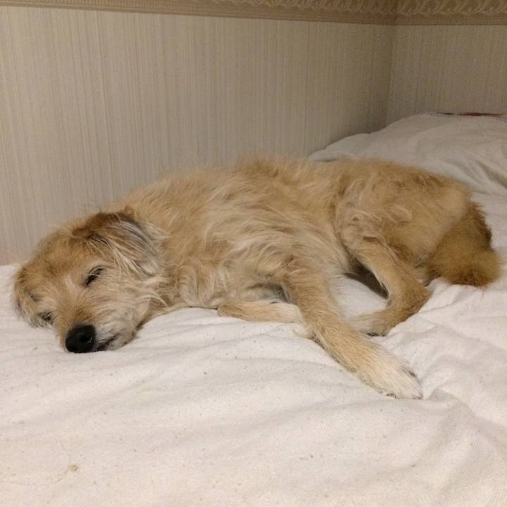 52632a50 bdfa 411d 9290 a184b45e7fe6