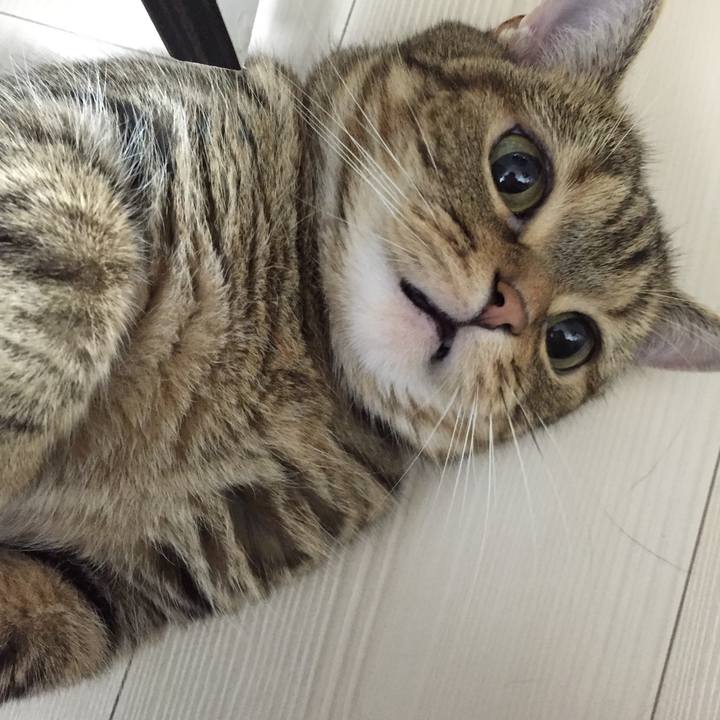 52639fe3 0f67 4533 b5c1 bafe39b0600c