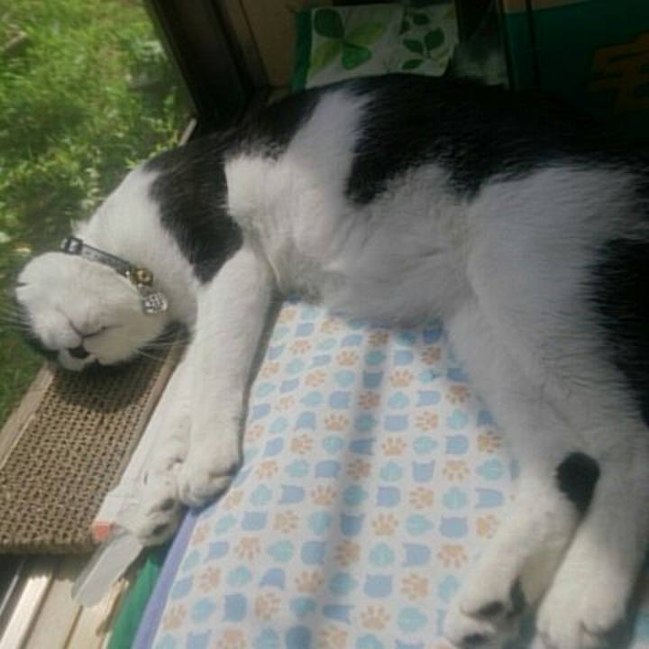 52652304 97fb 428a 85ad f09cada09bd9