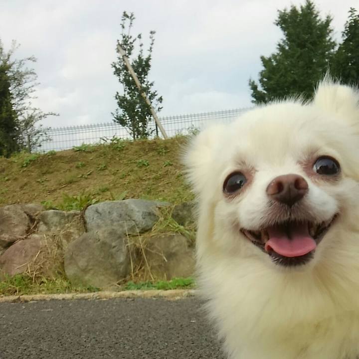 526578c6 f085 4c0f a665 edb102c13239