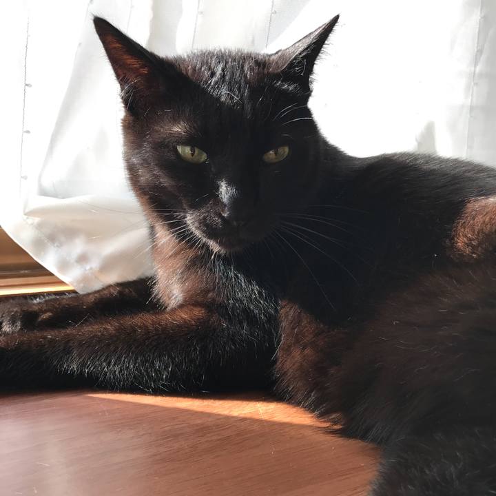 5265d444 5774 49bc 8972 f2fd99a967ea