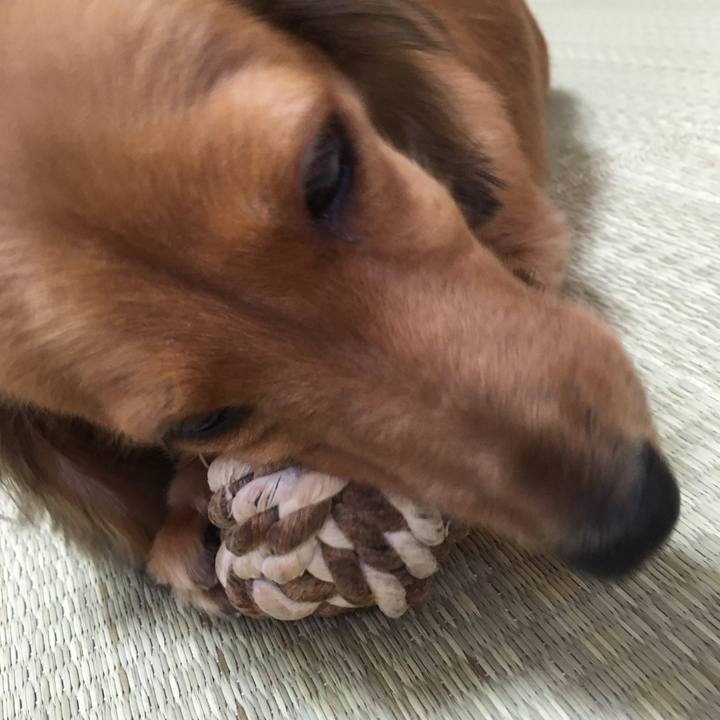 52663585 bde2 4540 86bd 8f24275b3a17