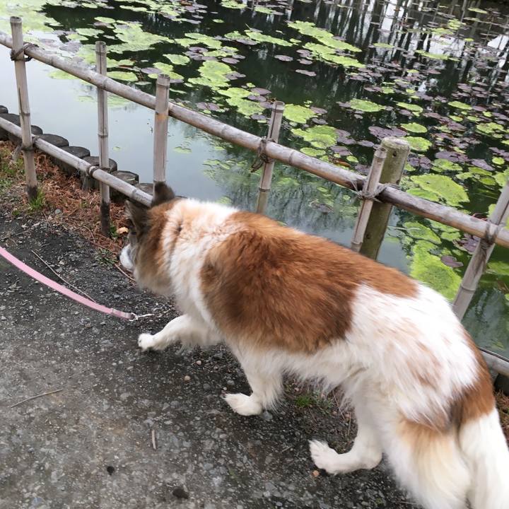 526670b2 24fb 4a91 bb9e 45955f35ee24