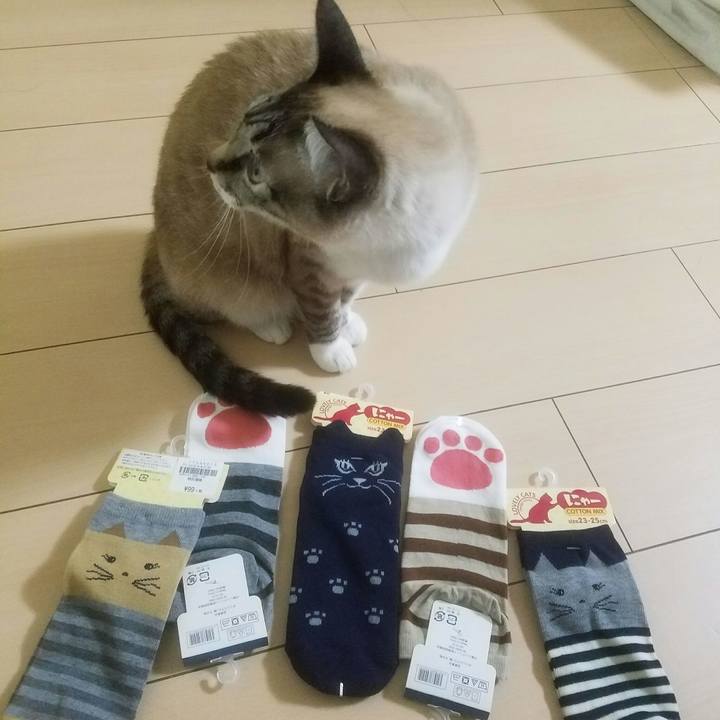 5266dce4 c9a1 4889 baf7 5d59189f16fb